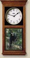 nature_wildlife_clocks001015.jpg